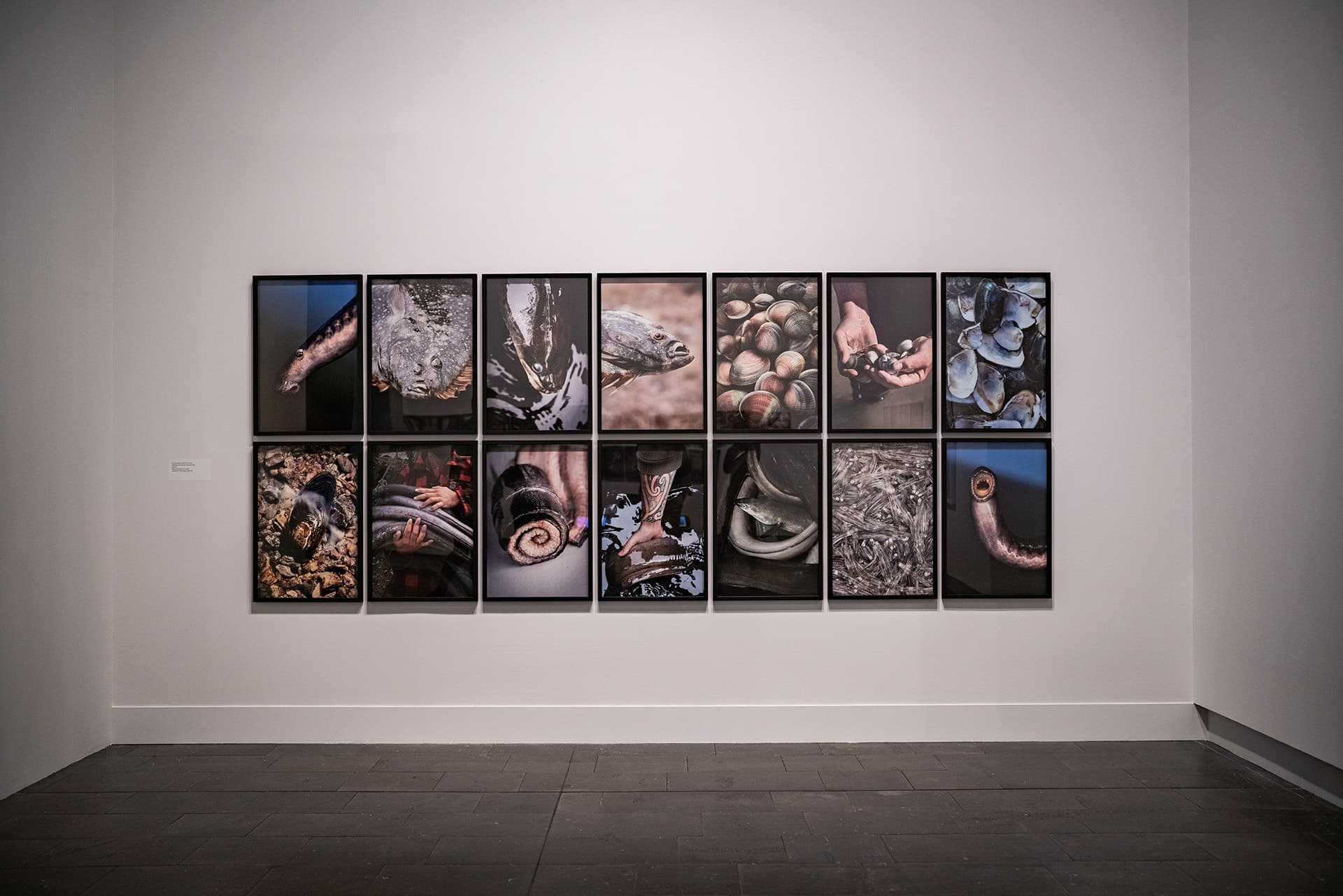 Fourteen photos on the gallery wall