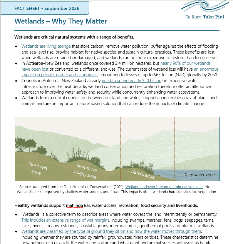 Wetlands Factsheet