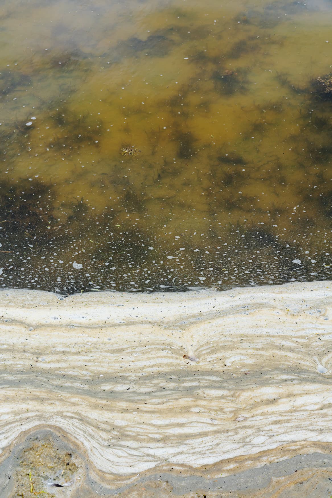 Te Waihora