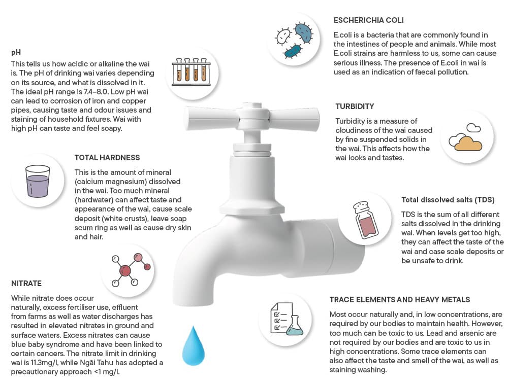 What's in my wai infographic