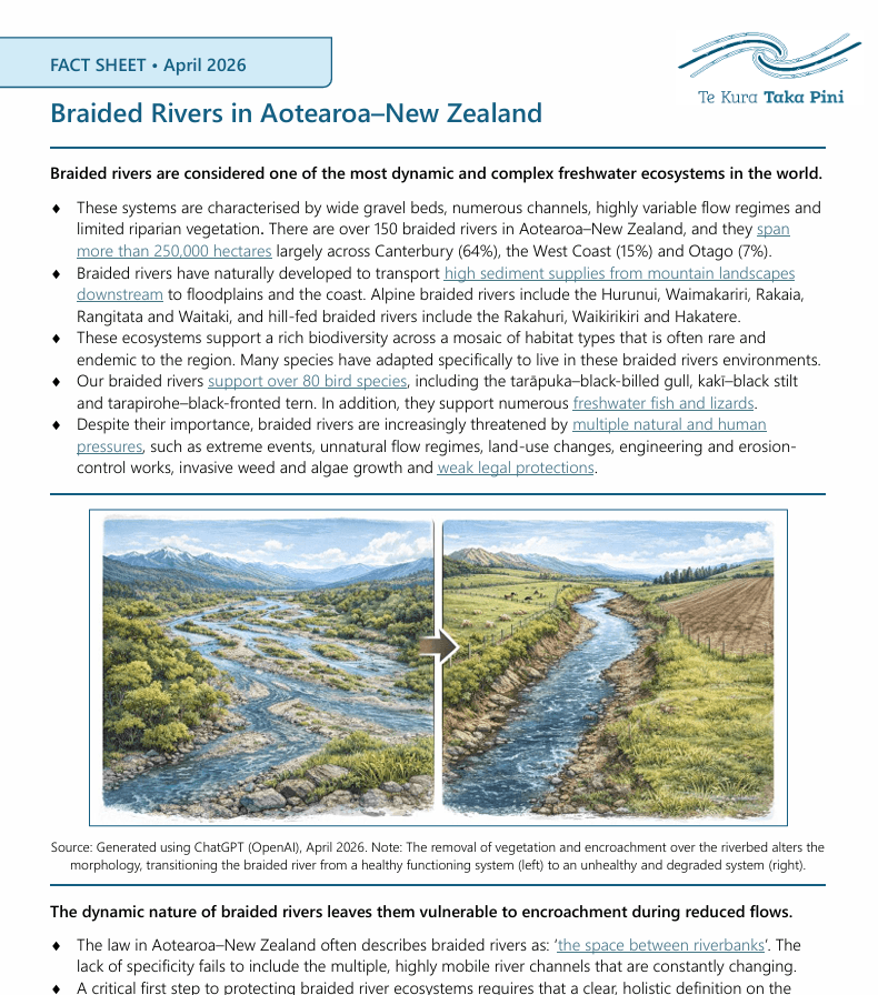 Braided Rivers Factsheet